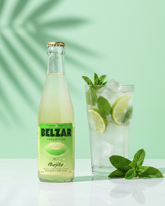 Mojito Chill (12 x 25 cL)