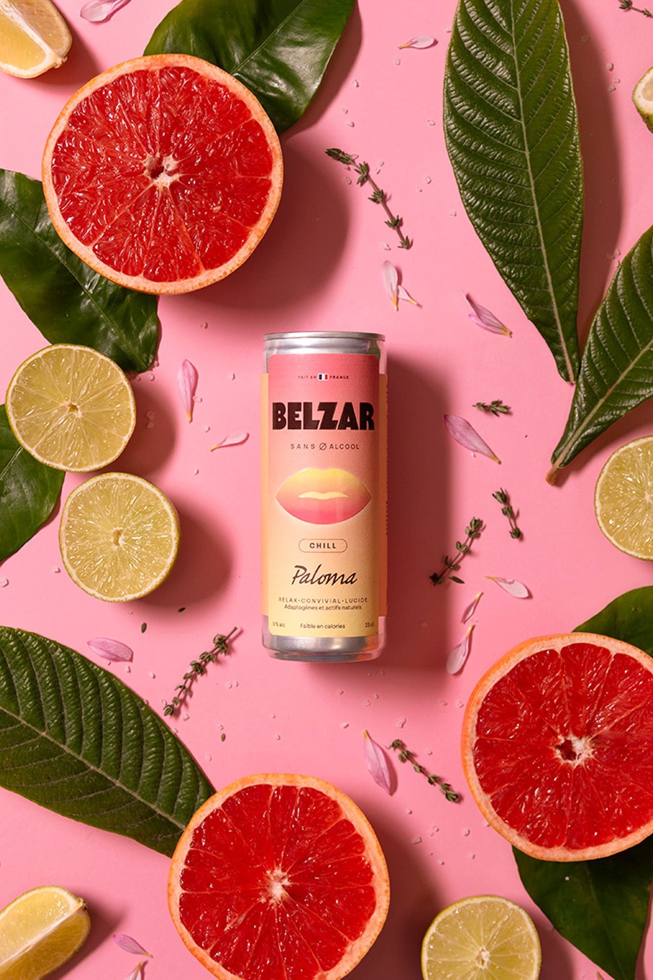 Belzar Chill | Paloma